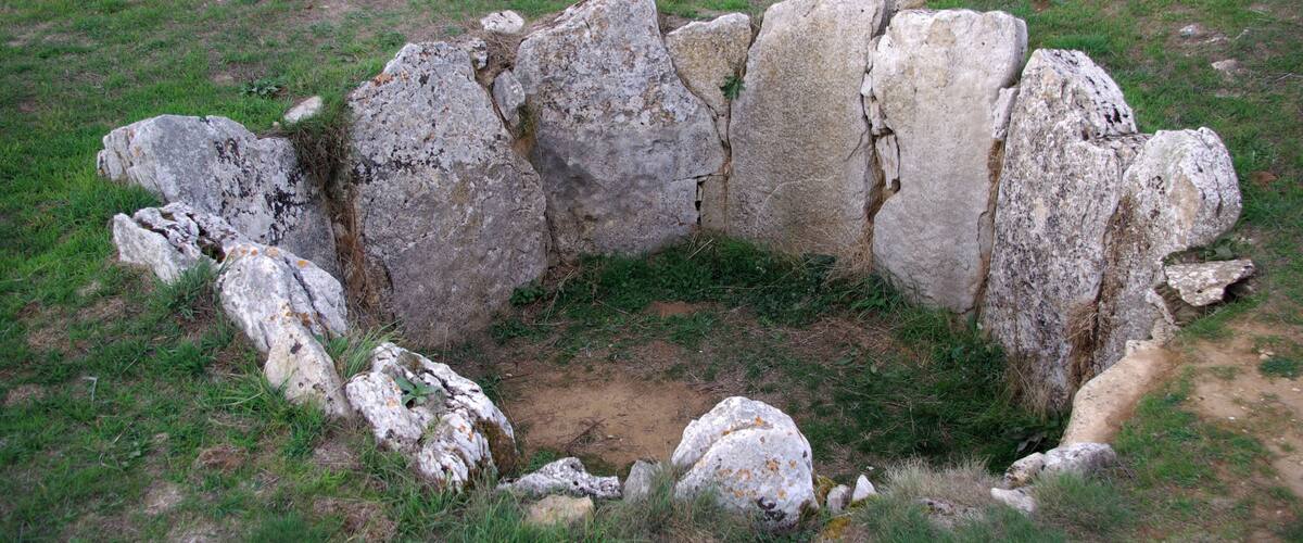 A stone structure with a circular depression, surrounded by grass and a stone wall in the background.