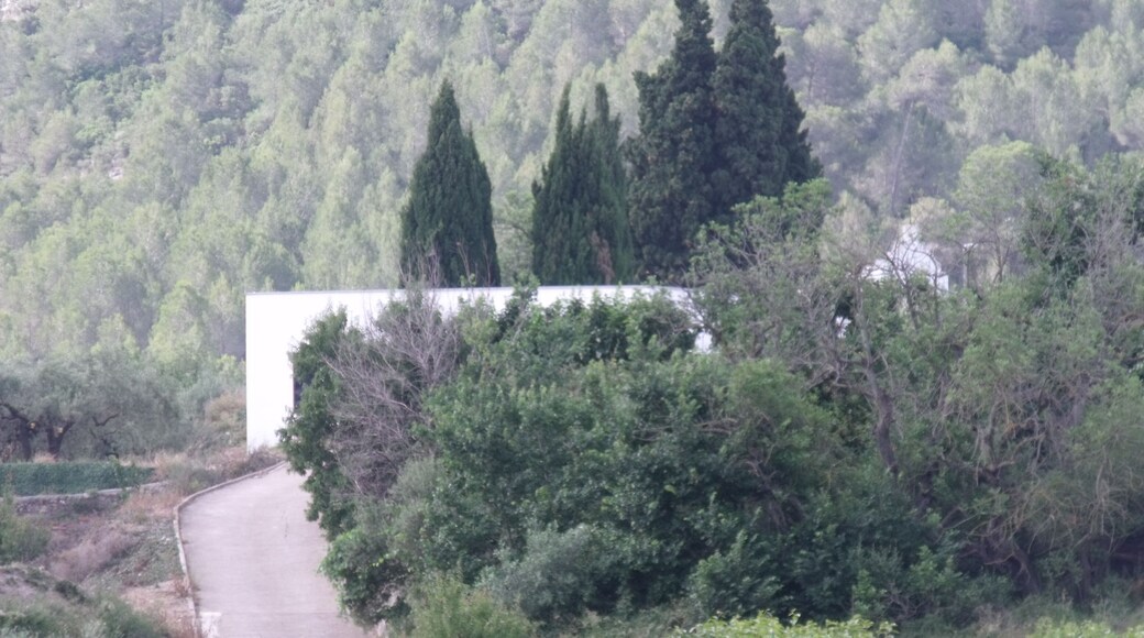 Ayelo de Rugat, Cementerio