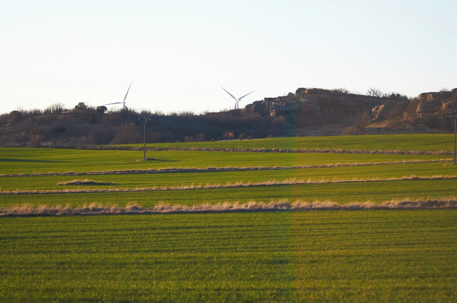 Campos de cereal