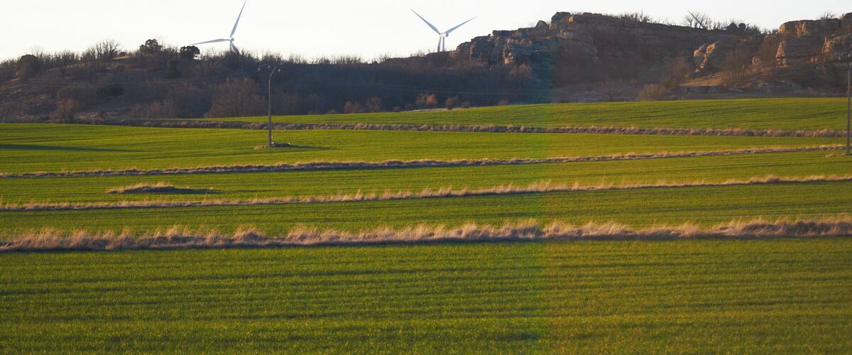 A green field with wind turbines in the background.