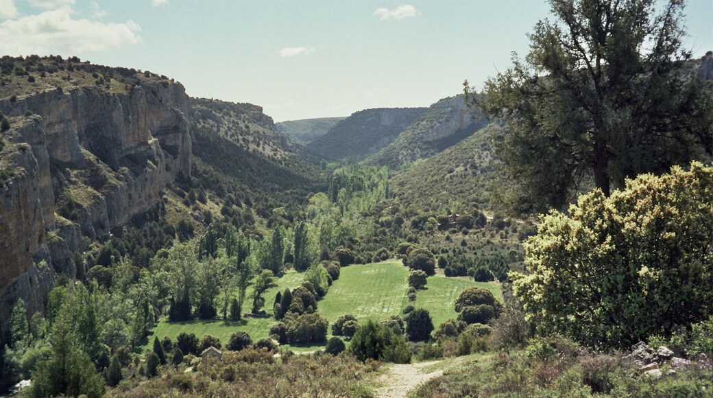 Gorge at Montejo de la Vega de la Serrezuela (Segovia, Spain), a natural reserve.