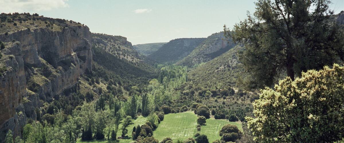 A valley with a river, steep cliffs, and scattered trees.
