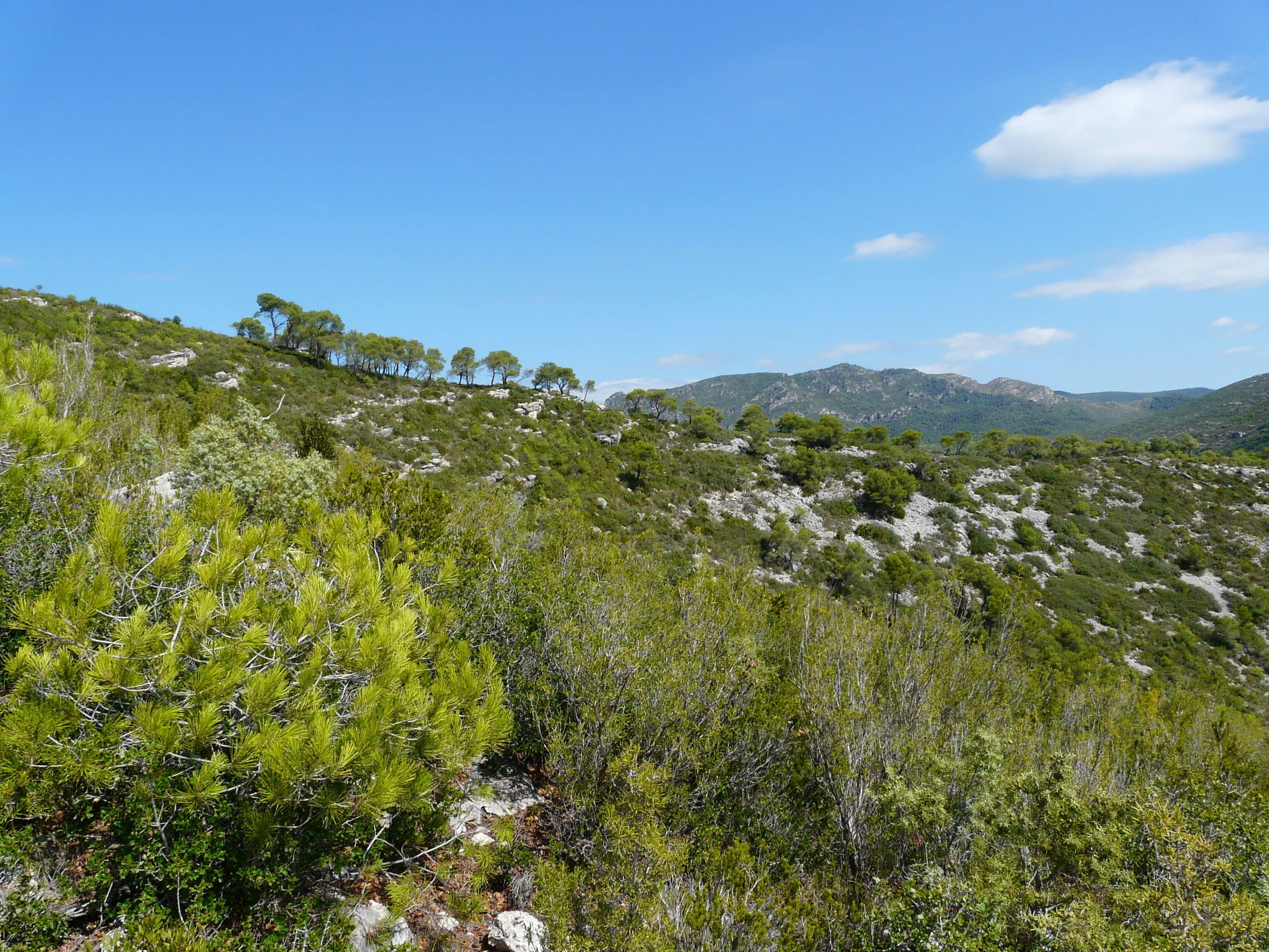 This image was uploaded as part of Wiki Loves Earth 2015.