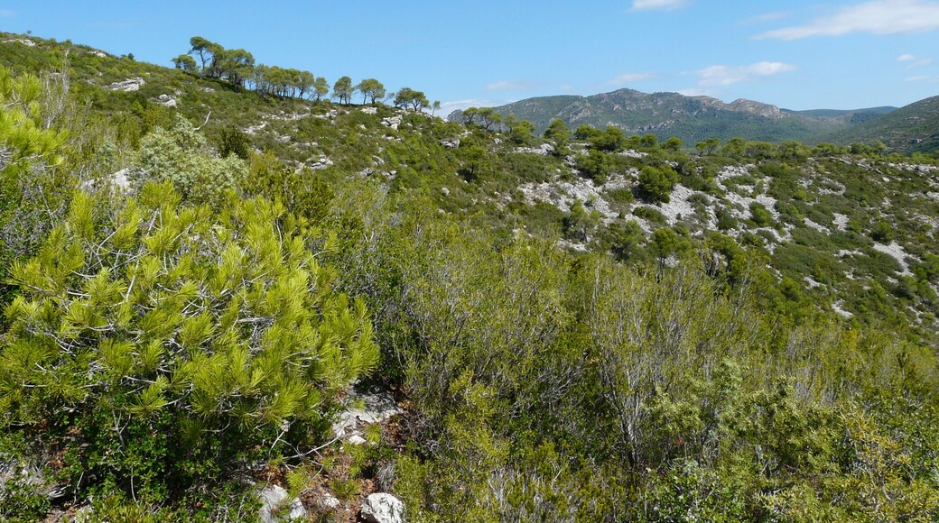 This image was uploaded as part of Wiki Loves Earth 2015.