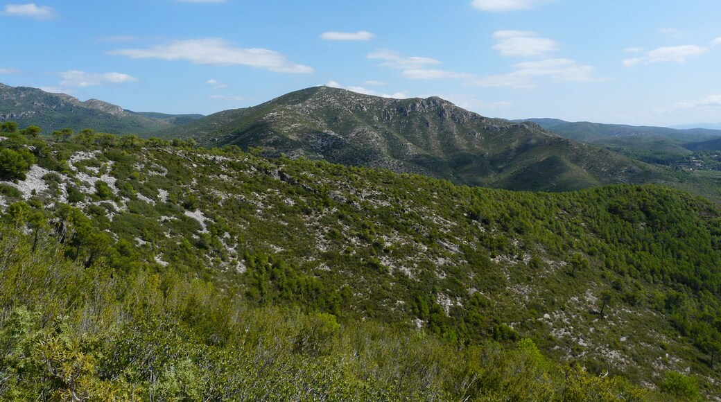 This image was uploaded as part of Wiki Loves Earth 2015.