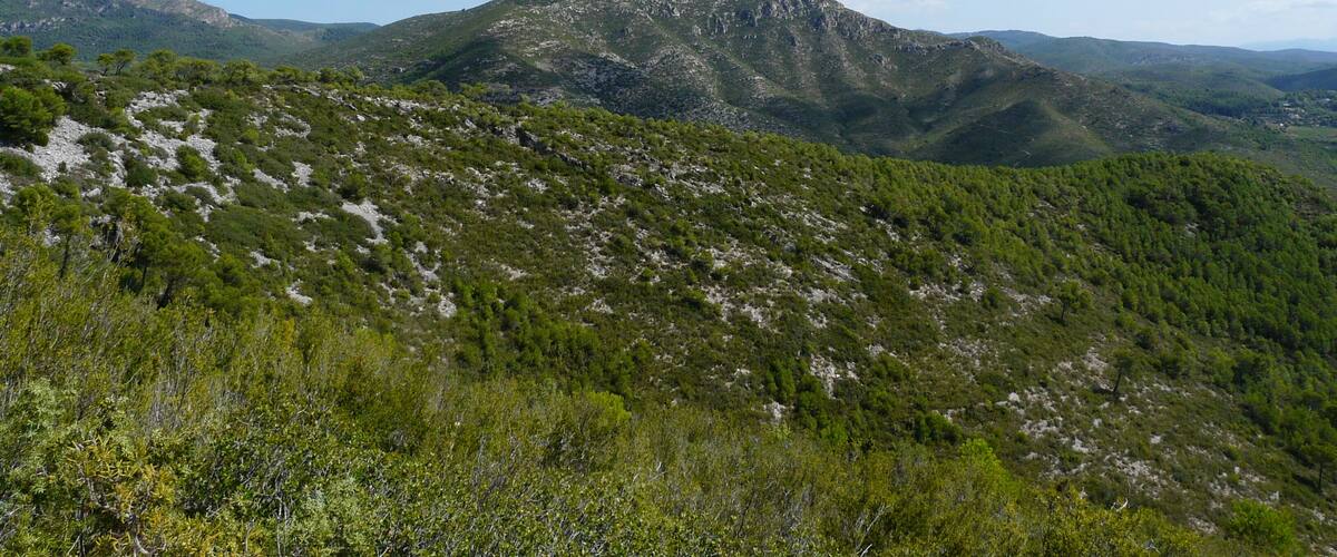 A mountainous landscape with dense green vegetation and rocky terrain under a clear blue sky.