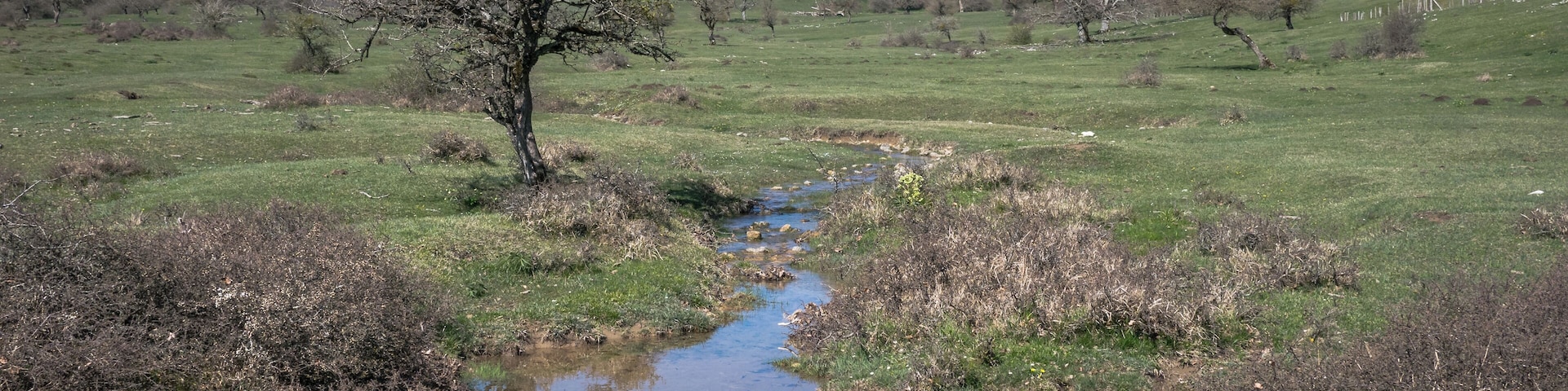 Stream at the Legaire mountain pastures. Basque Country, Spain