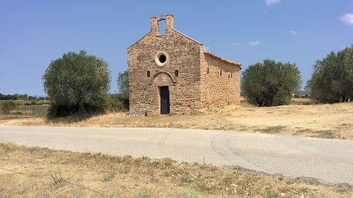 Capella de Sant Martí de la Móra (Viladasens)