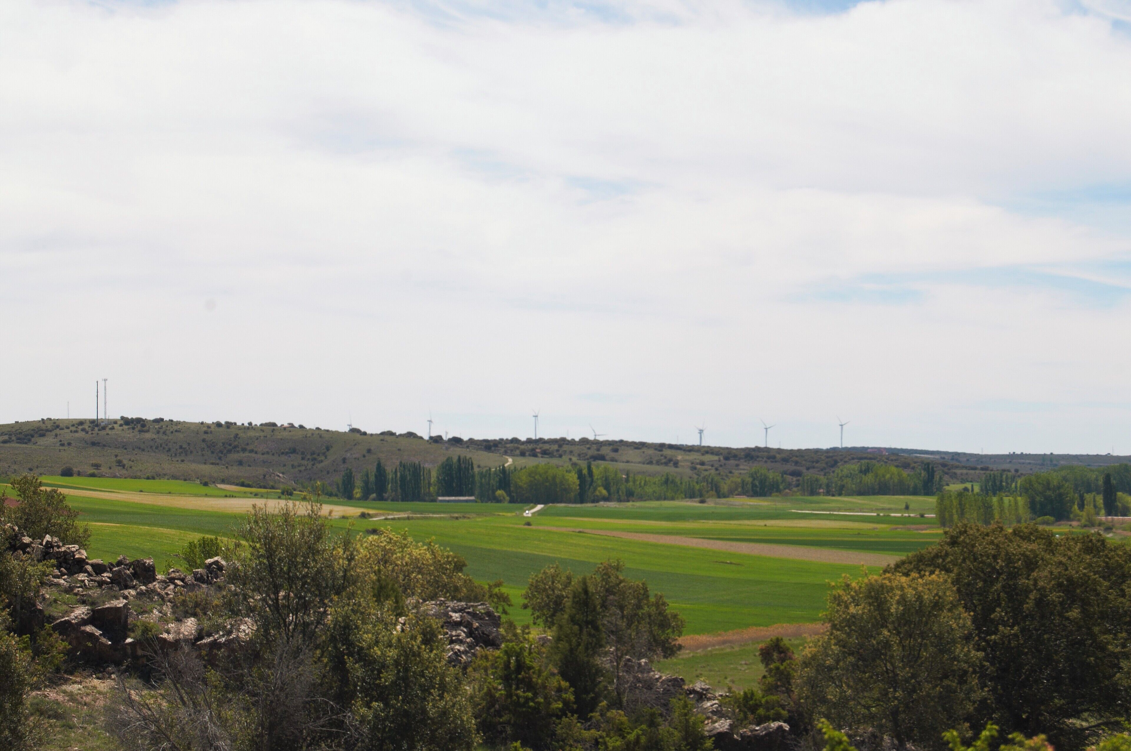A green landscape with wind turbines in the distance.