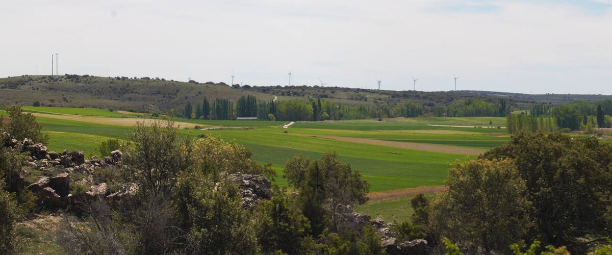 A green landscape with wind turbines in the distance.