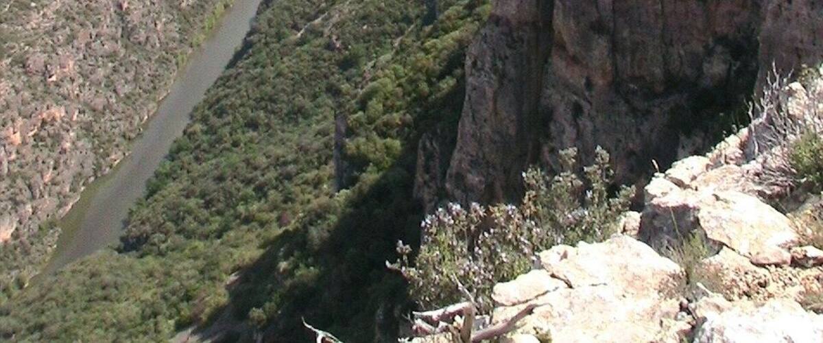 El cim del Castellàs, sobre la gorja del Segre, vist des del Mu. A Alòs de Balaguer (Noguera - Catalunya)