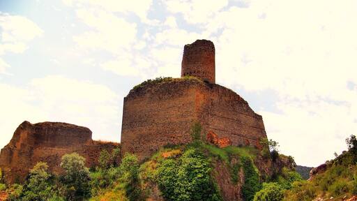 Castell d'AlĂČs (AlĂČs de Balaguer)