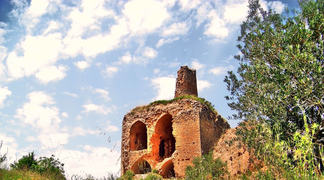 Castell d'Alòs (Alòs de Balaguer)