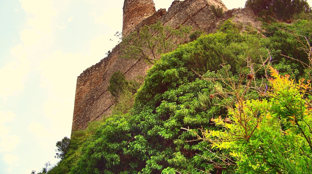 Castell d'AlĂČs (AlĂČs de Balaguer)