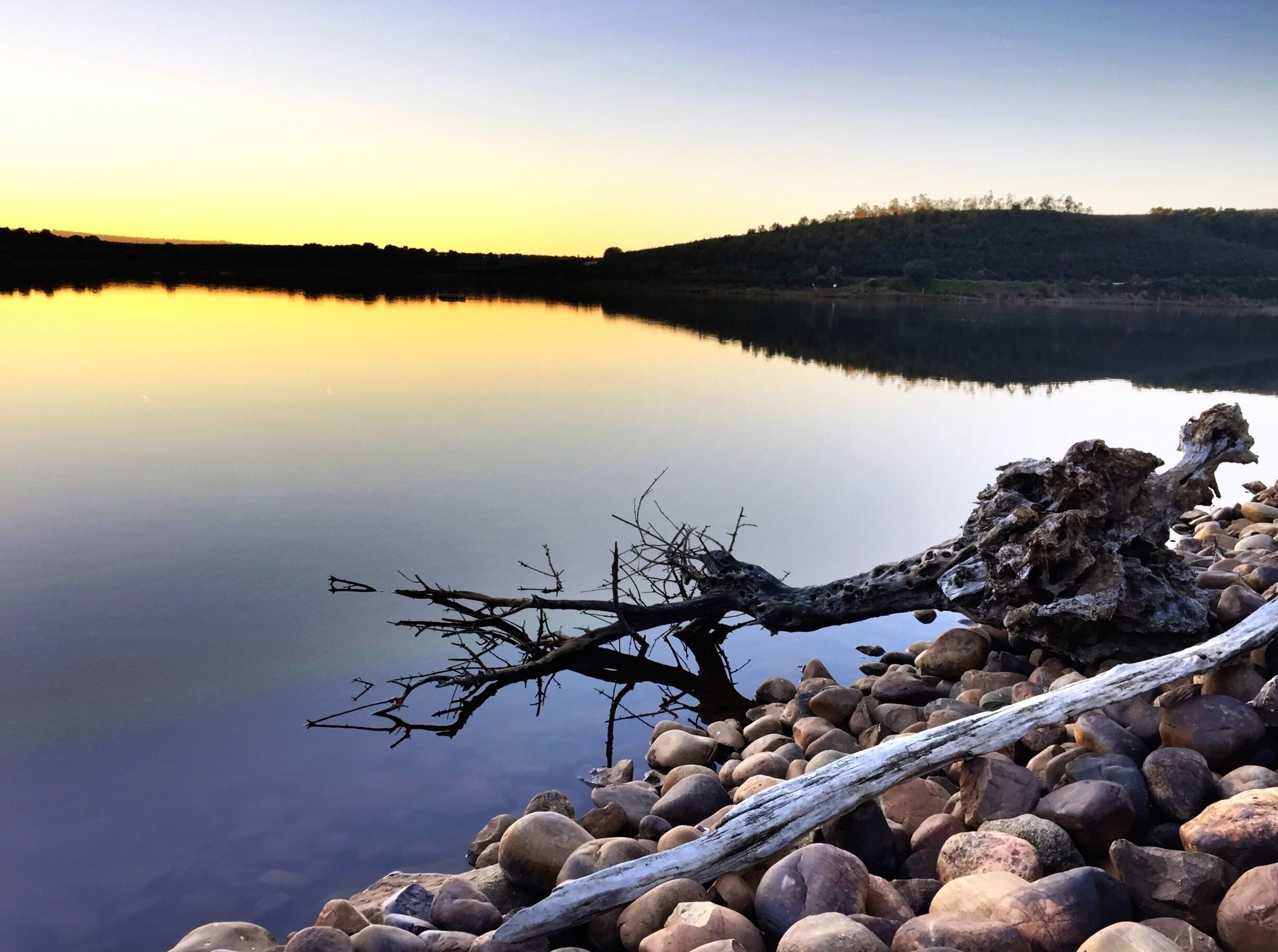 A calm lake at sunset with a fallen tree branch in the foreground and a forested hill in the background.