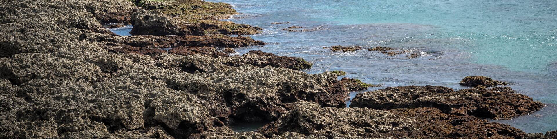A rocky shoreline with a prominent rock formation covered in greenery.