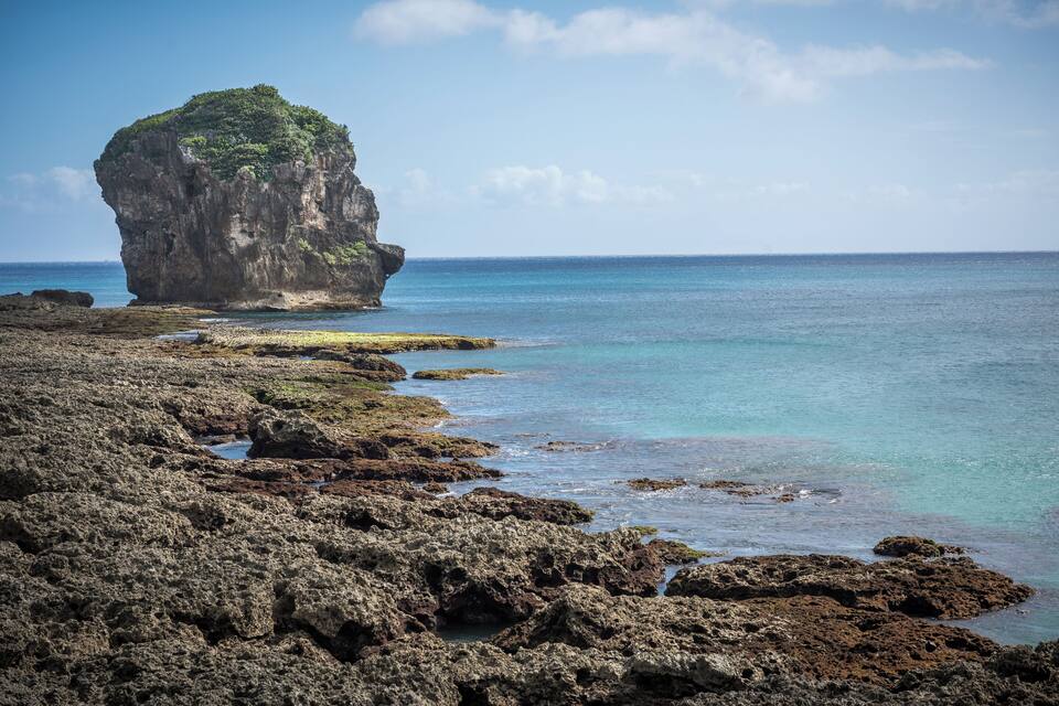 A rocky shoreline with a prominent rock formation covered in greenery.