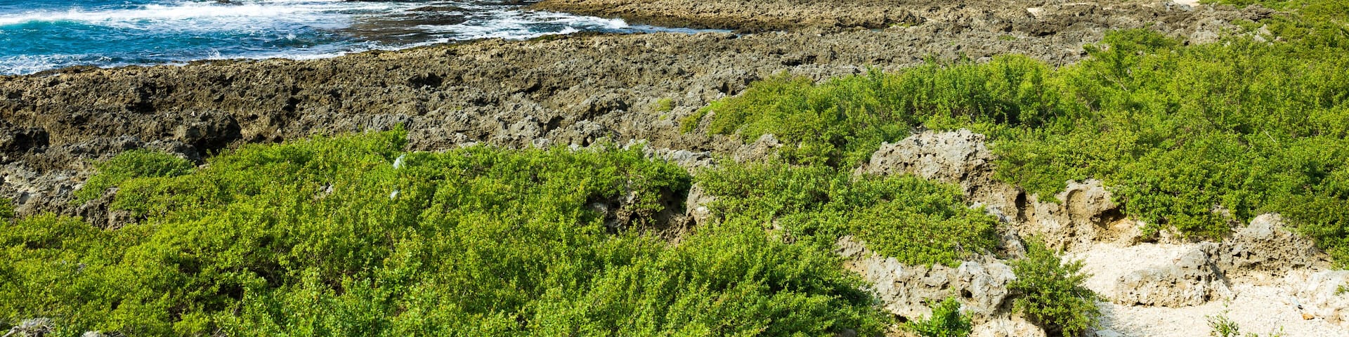 Una formación rocosa destacada con parte superior verde, rodeada por el océano y vegetación costera.