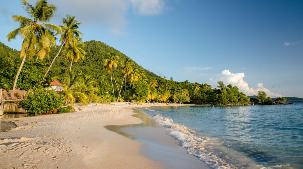 Spiaggia di Anse Figuier