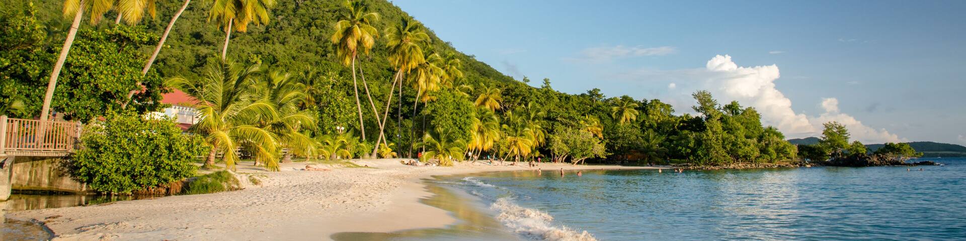 A tropical beach with palm trees, a sandy shore, and a calm sea.