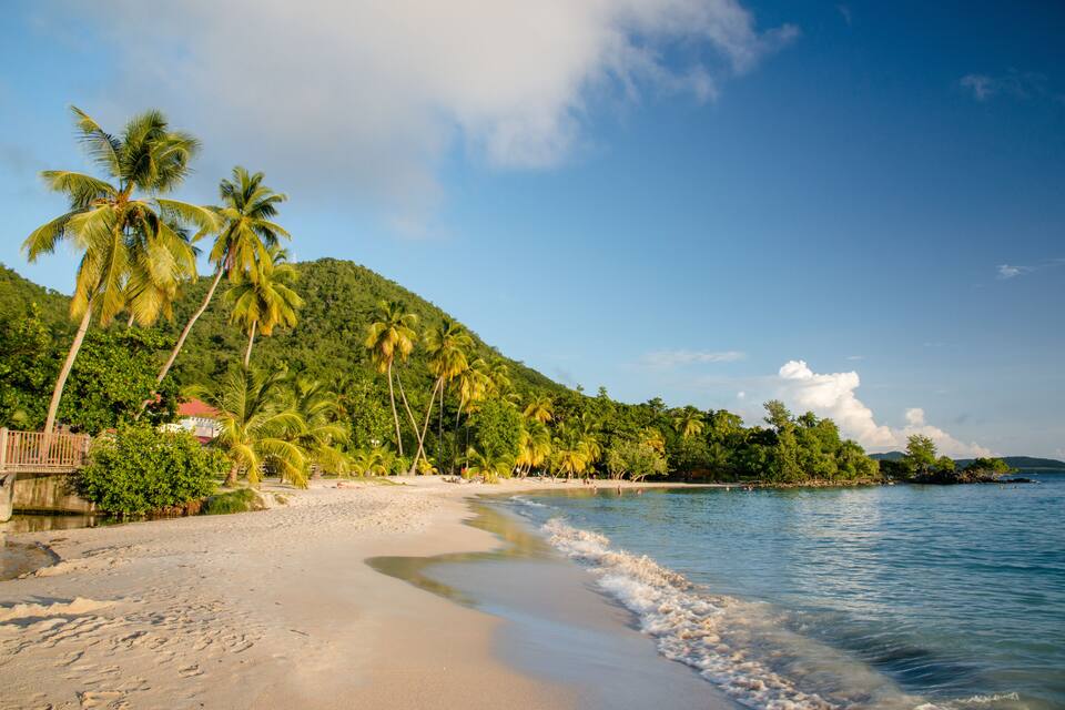 A tropical beach with palm trees, a sandy shore, and a calm sea.