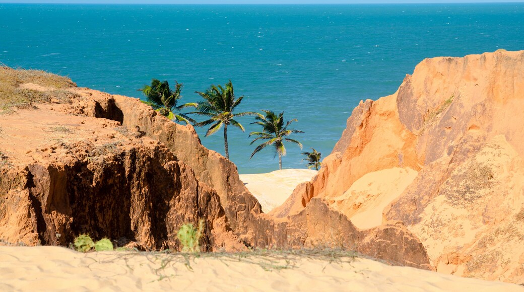Praia do Morro Branco - CE - Brazil