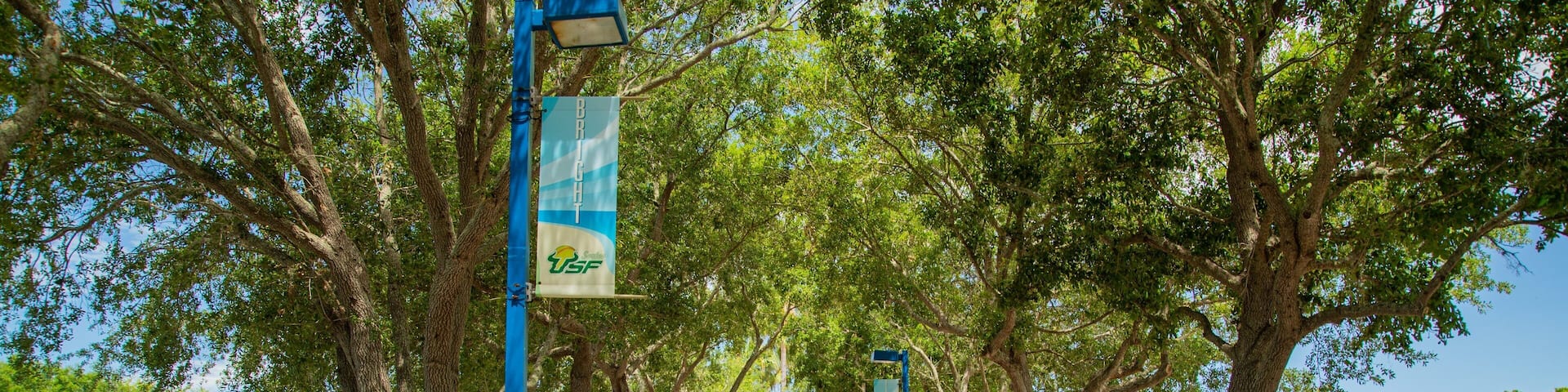 Eddie C. Moore Softball Complex showing a garden