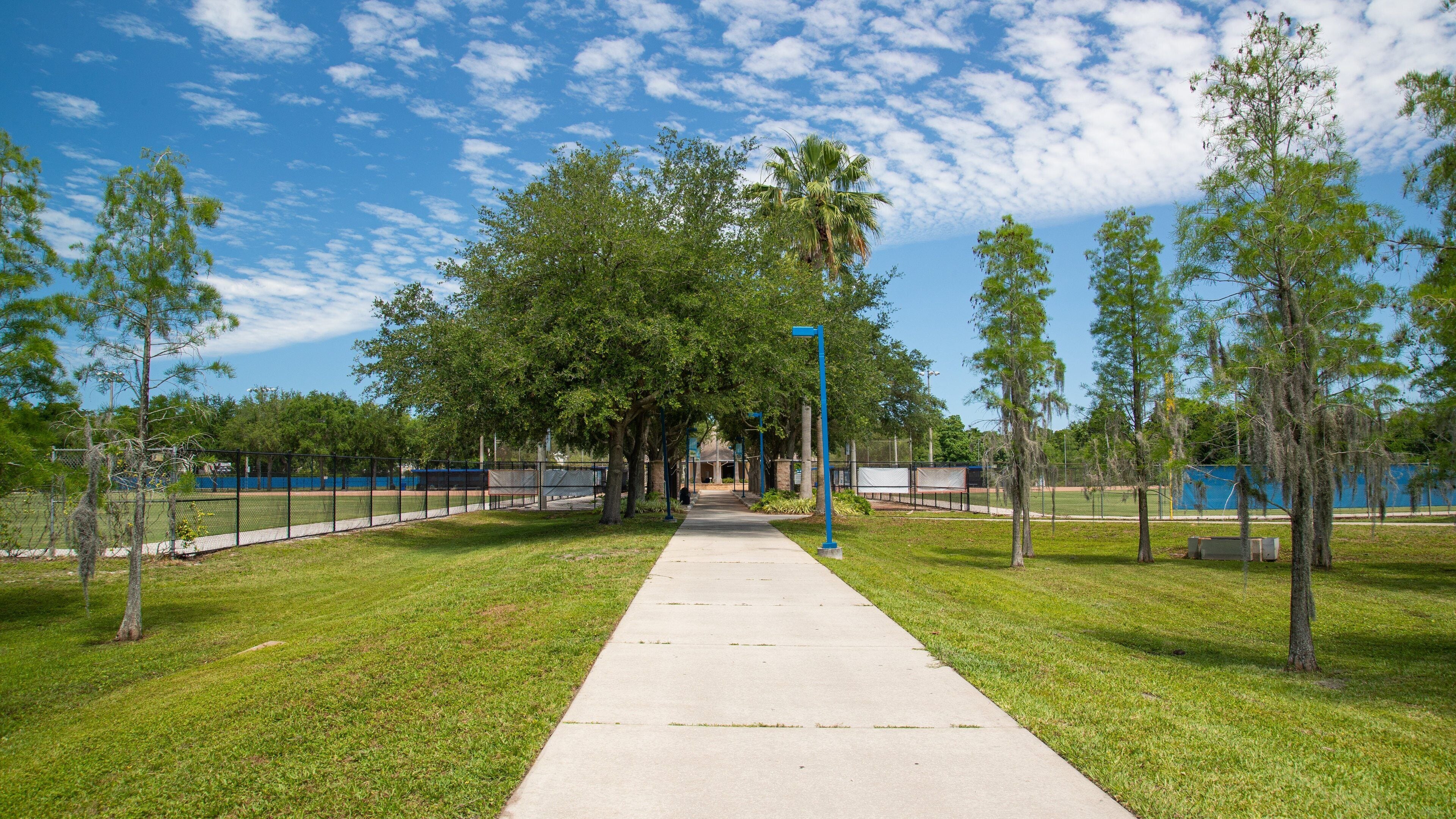 Clearwater showing a park