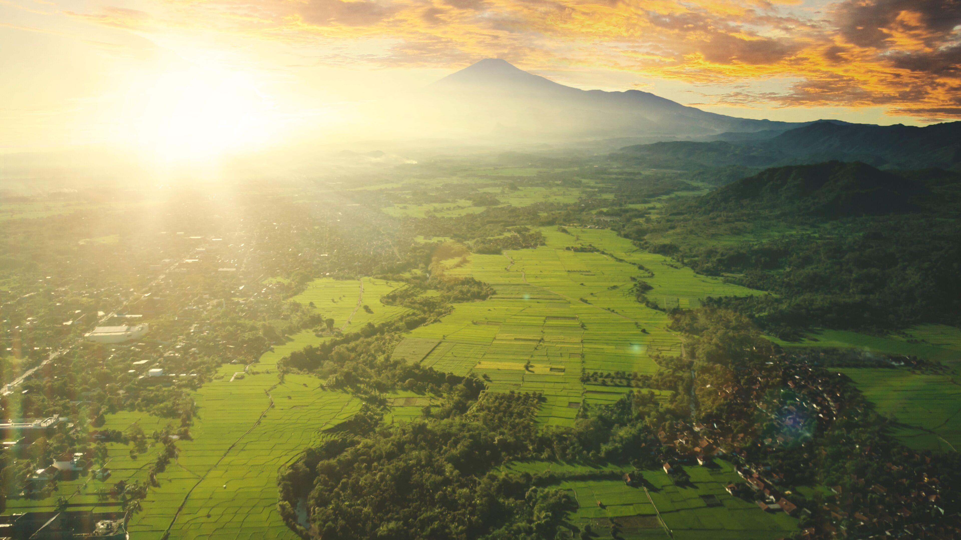 Bird view of farmland in the morning