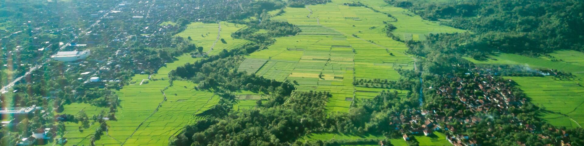 Beautiful view of paddy field and village