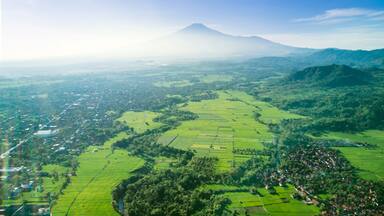 Beautiful view of paddy field and village