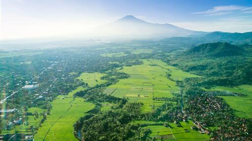 Beautiful view of paddy field and village