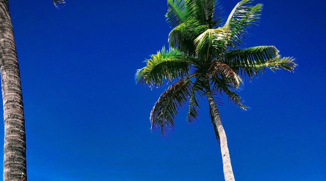 Relaxing by the beach in Paradise Cove