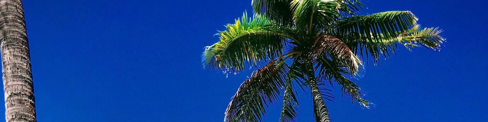 Relaxing by the beach in Paradise Cove