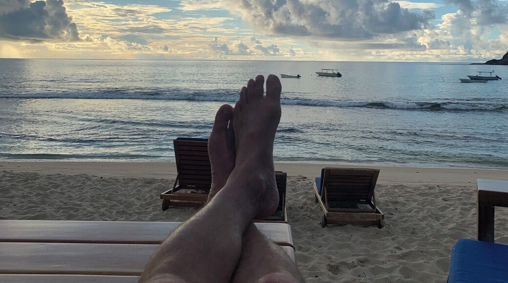 Ocotopus Resort is a must for anyone wanting to escape life.