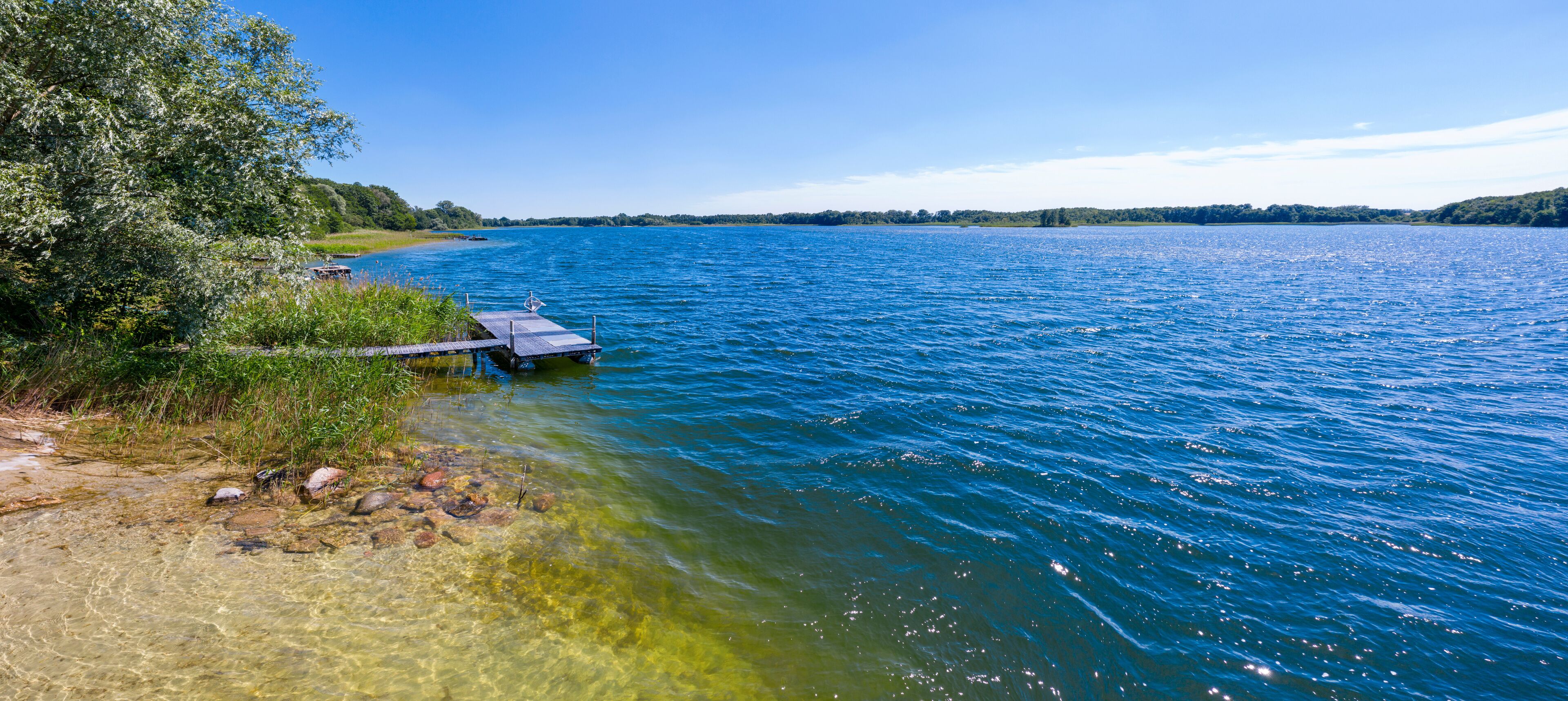 A clear lake with a wooden dock extending into the water, surrounded by lush greenery and trees.