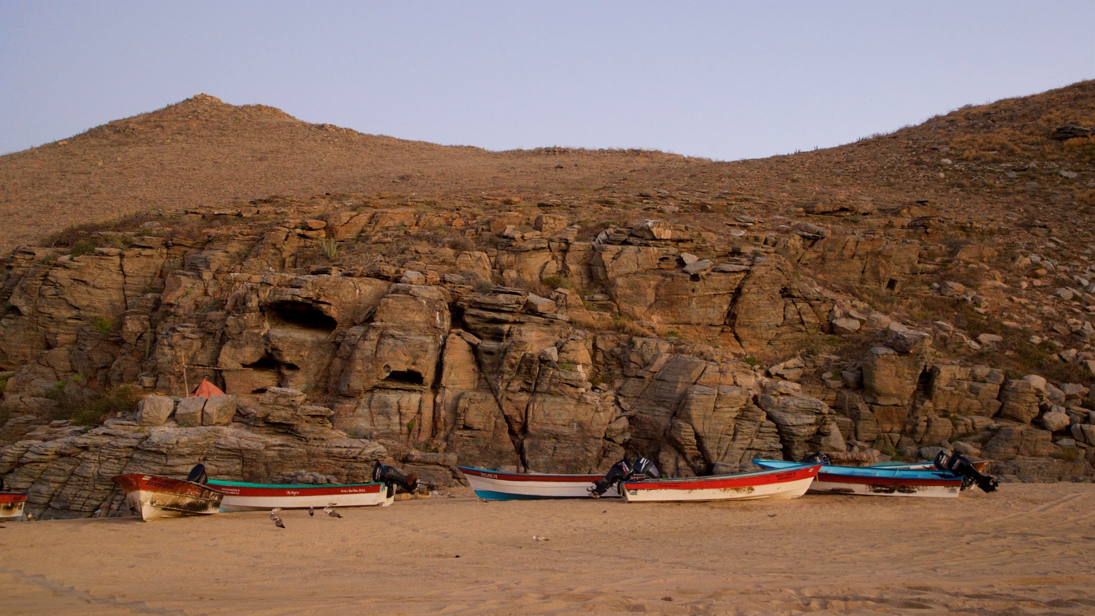 Punta Lobos featuring a beach and rocky coastline