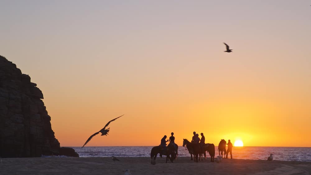 Punta Lobos which includes a sunset, land animals and horseriding