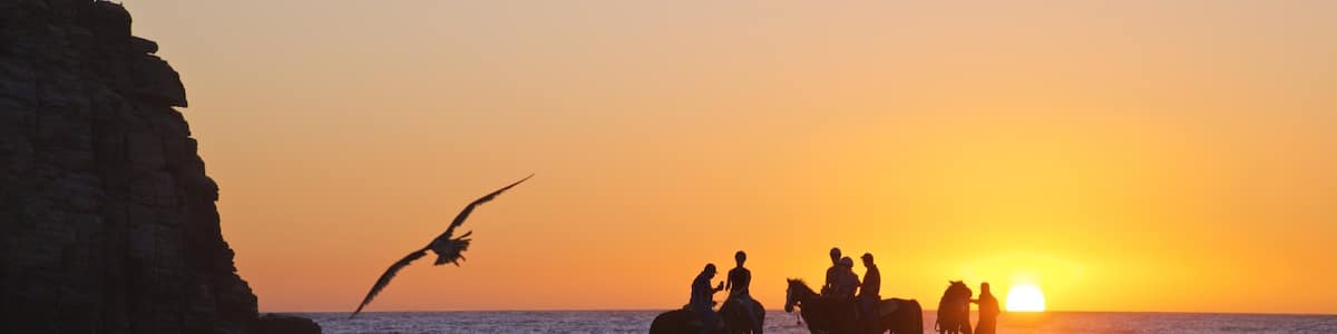 Punta Lobos which includes a sunset, land animals and horseriding