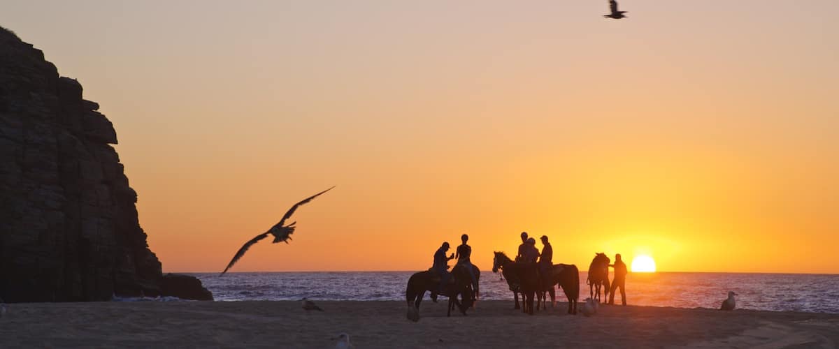 Punta Lobos which includes a sunset, land animals and horseriding