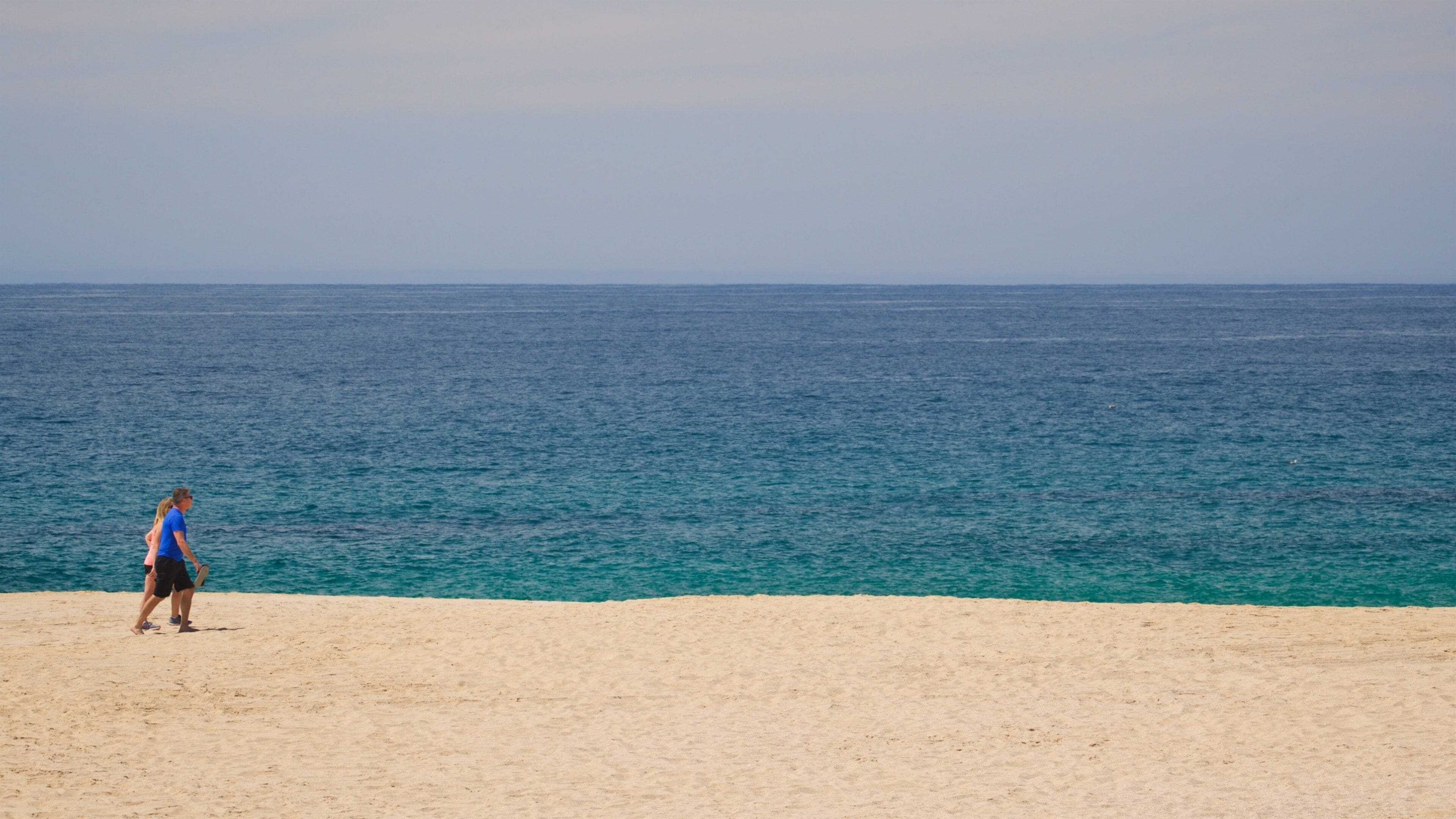 Punta Lobos which includes a beach and general coastal views as well as a couple