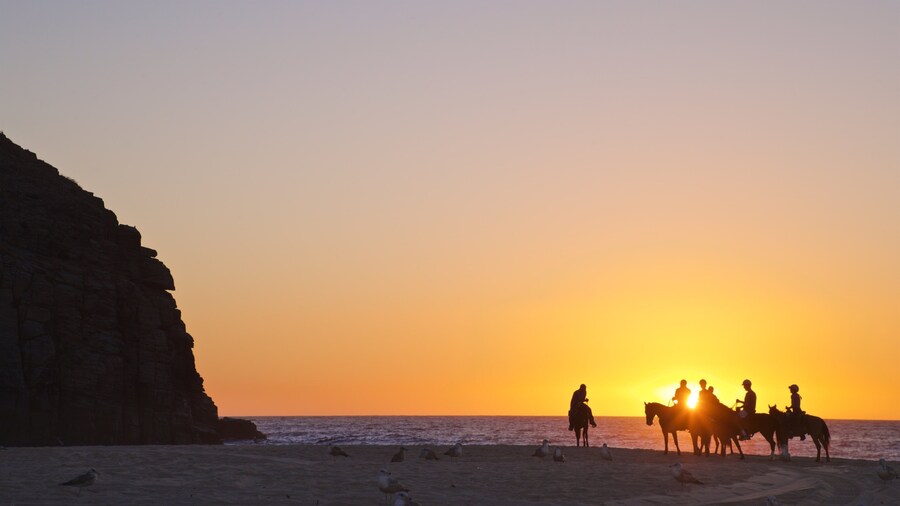Punta Lobos showing a sunset, horseriding and general coastal views