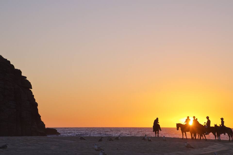 Un tramonto sulla spiaggia con persone a cavallo e gabbiani sulla sabbia.