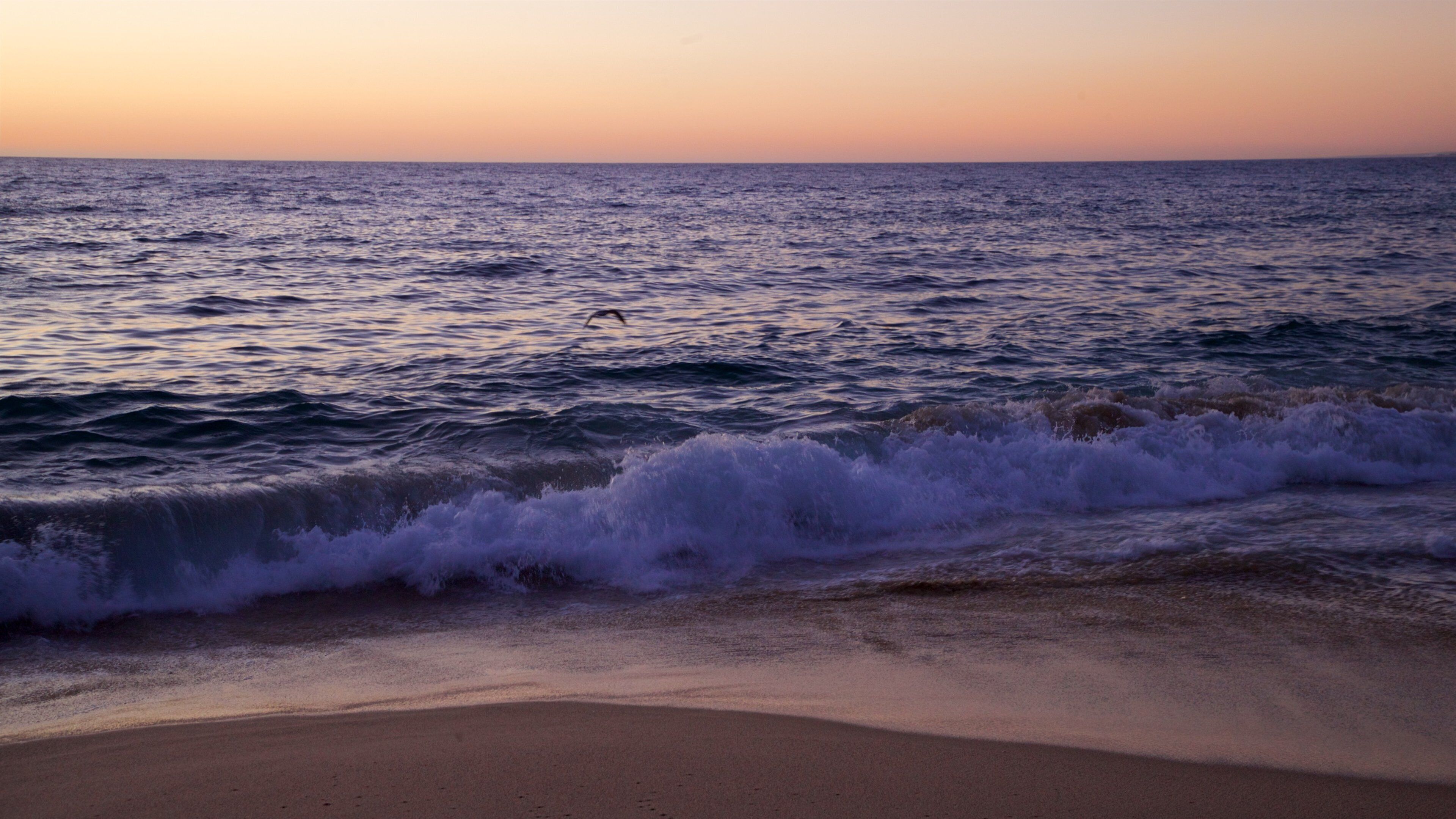 Punta Lobos which includes a sunset, general coastal views and a beach