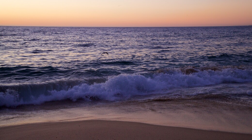 Punta Lobos which includes a sunset, general coastal views and a beach