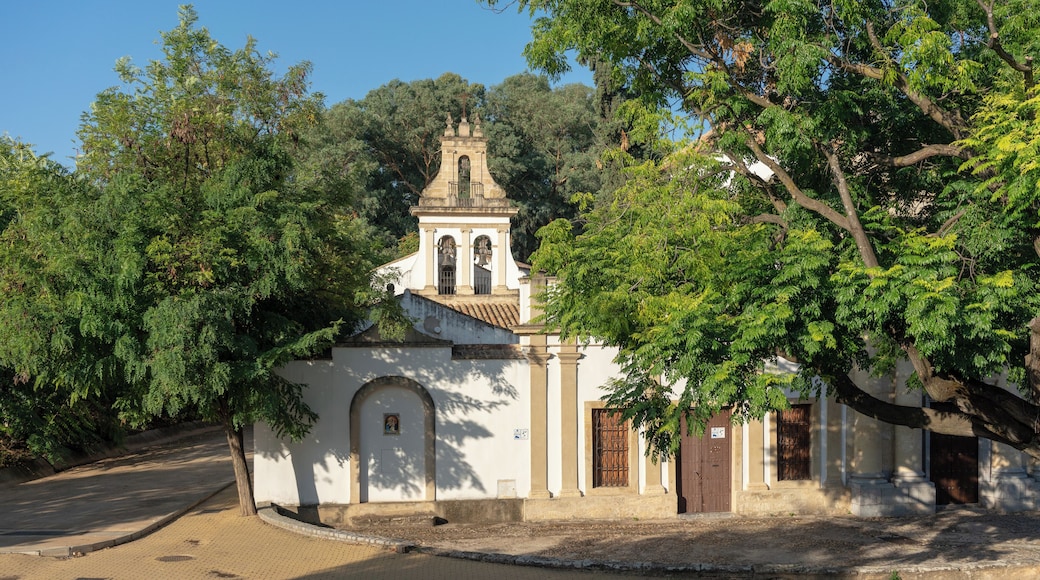 Cordoba_ParqueCruzConde_553248633935942172_12