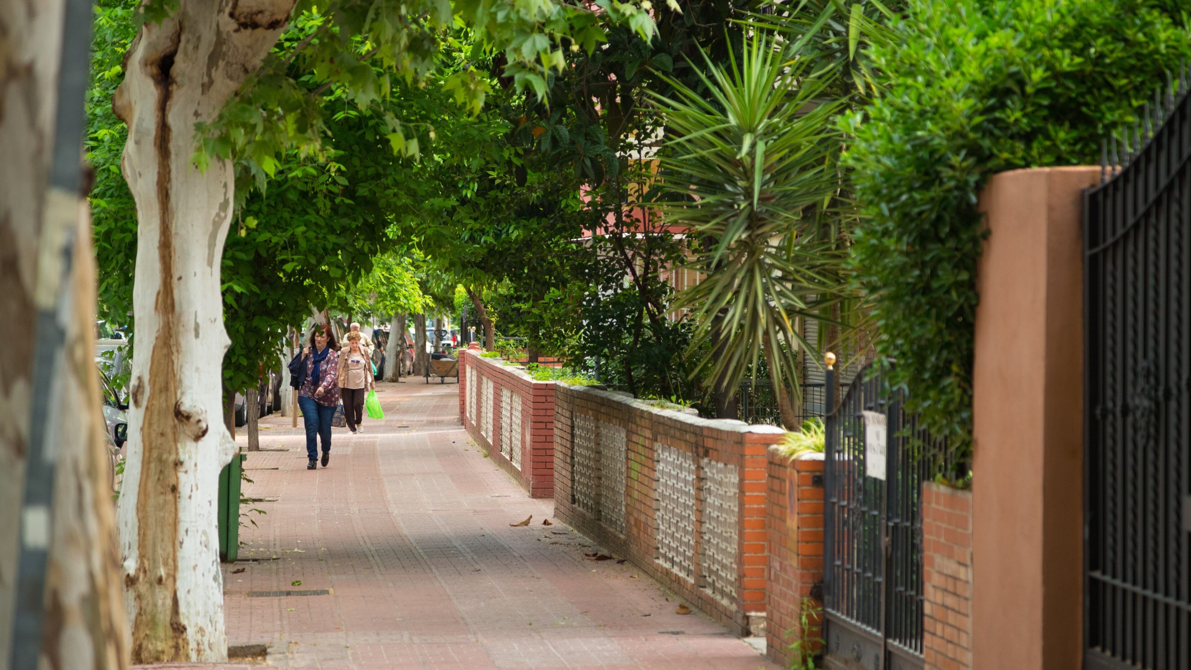 Huerta de San Rafael