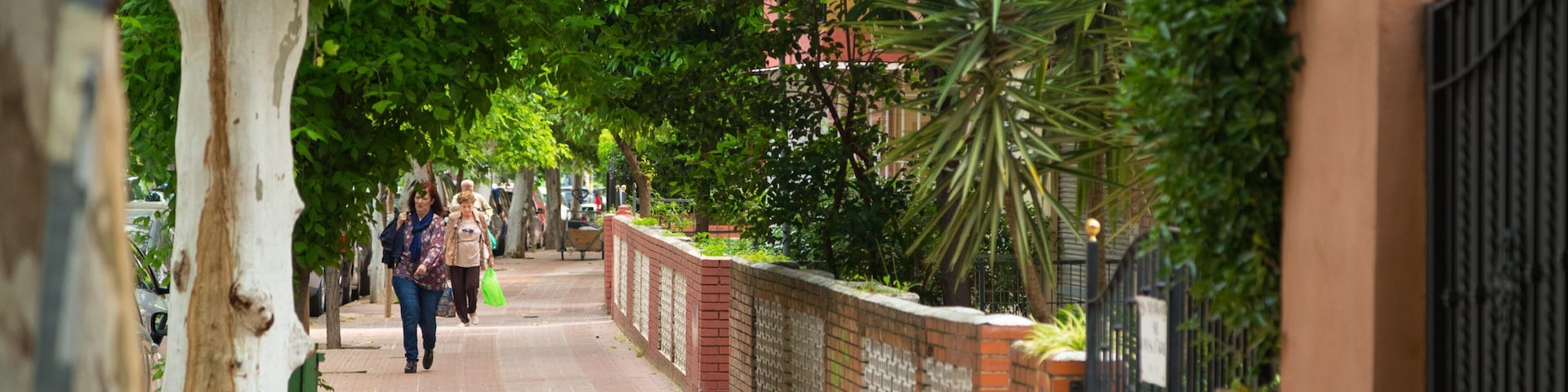 Huerta de San Rafael