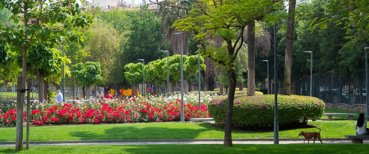 Ciudad Jardín showing flowers and a park