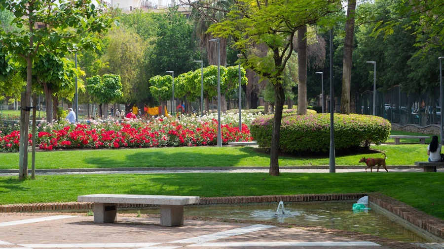 Ciudad Jardín showing flowers and a park